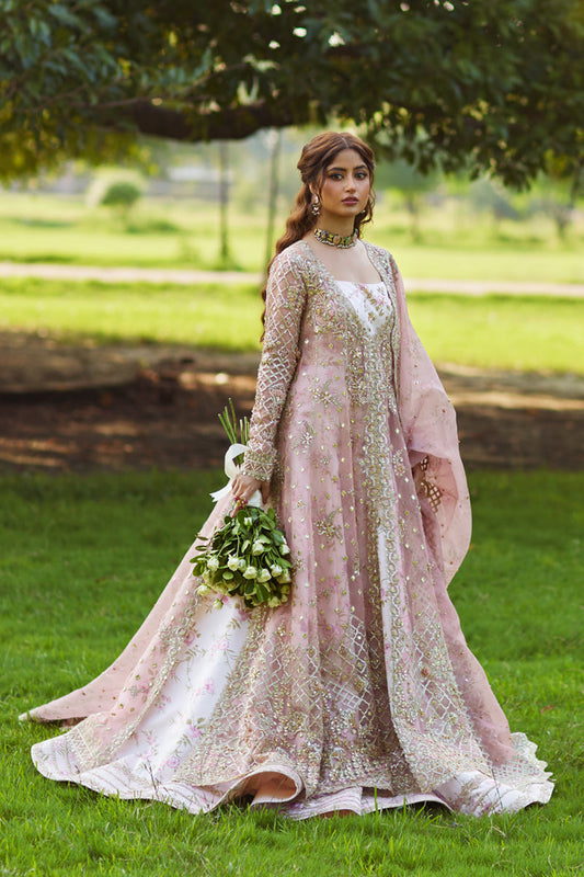 QALAMKAR - SAIRA