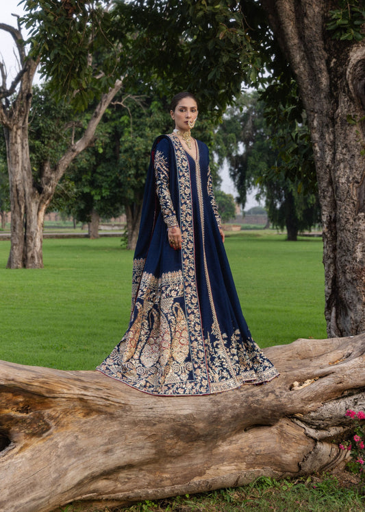Hussain Rehar Neelum The Doll House Festive stitched '26 stitched Pakistani designer outfit look 1