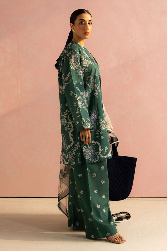 COCO - ZARA SHAHJAHAN - NORA-8B