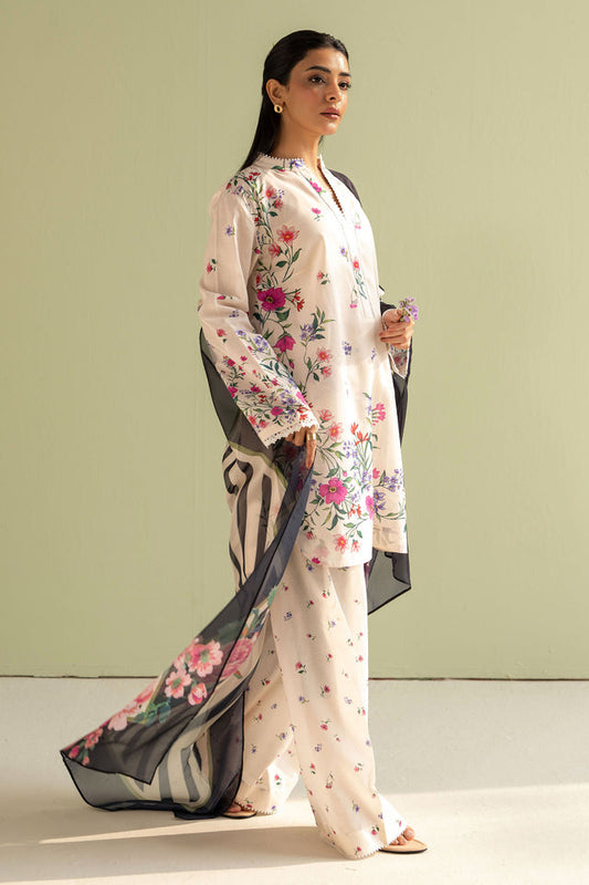 COCO - ZARA SHAHJAHAN - REENA-4B