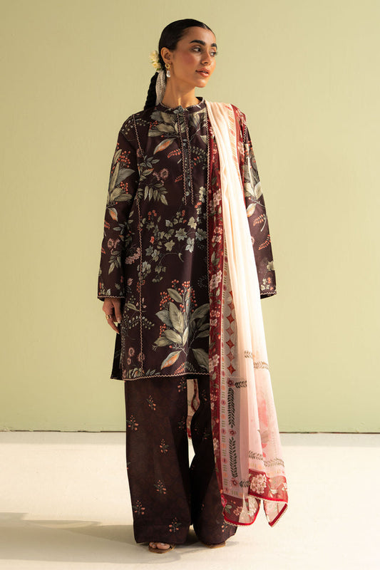 COCO - ZARA SHAHJAHAN - ZOE-7B