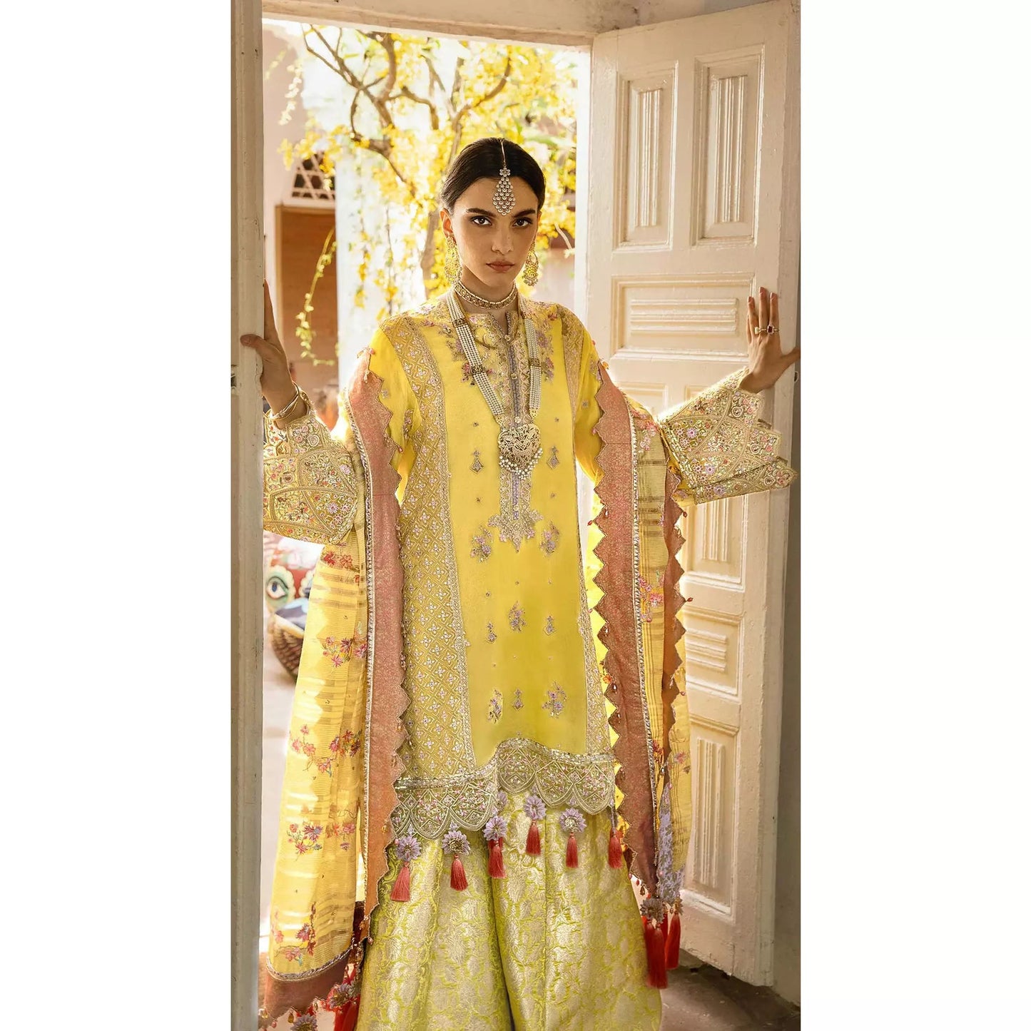 Anaya | Kamiar Rokni Anahita | AKW22-04 ALARA