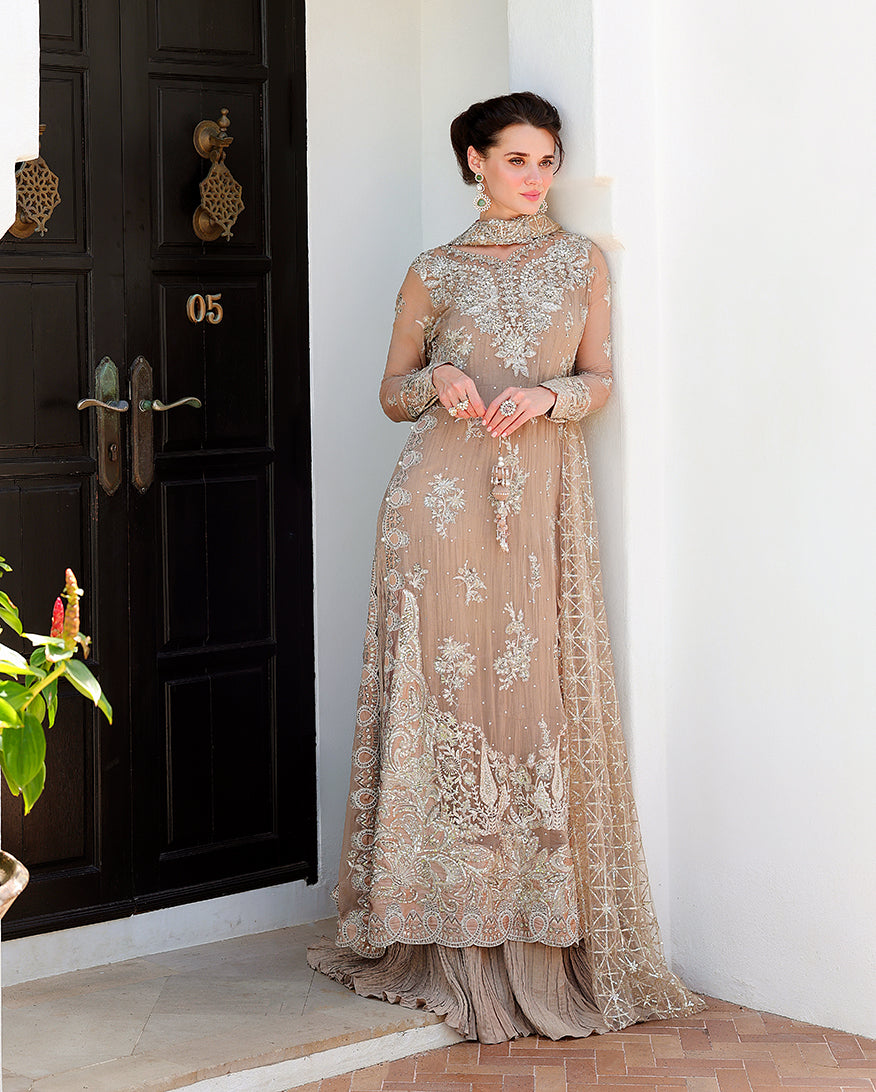 Mushq Pretty Rebel beige embroidered chiffon formal front view