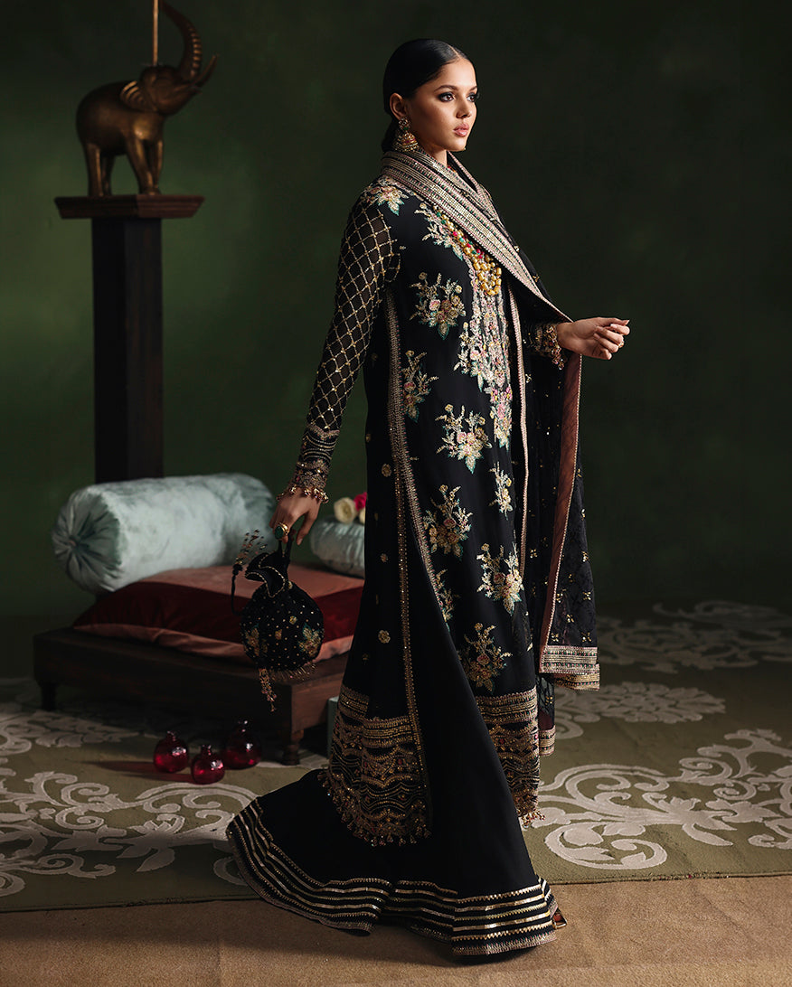 Roheenaz Radiant Muse Royale Eternel Chiffon Edit Pakistani designer outfit look 2
