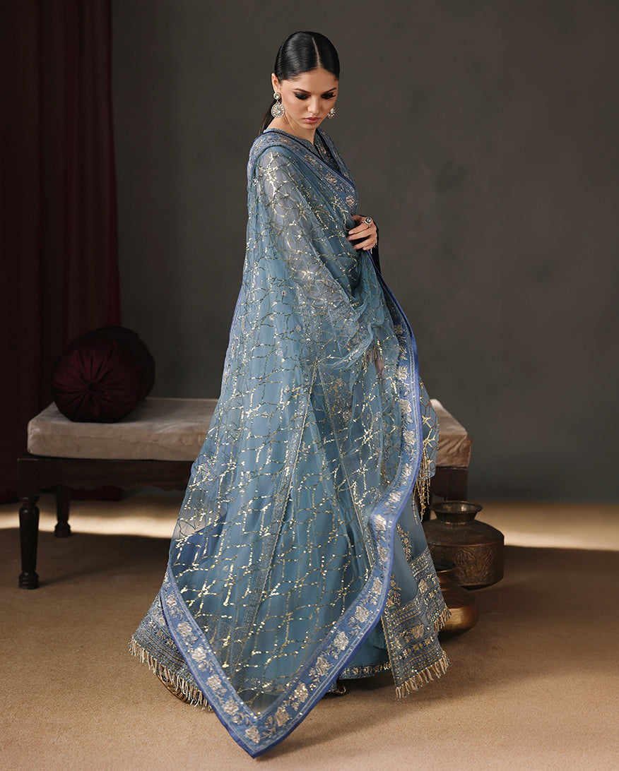 Roheenaz Royal Muse Royale Eternel Chiffon Edit Pakistani designer outfit look 3